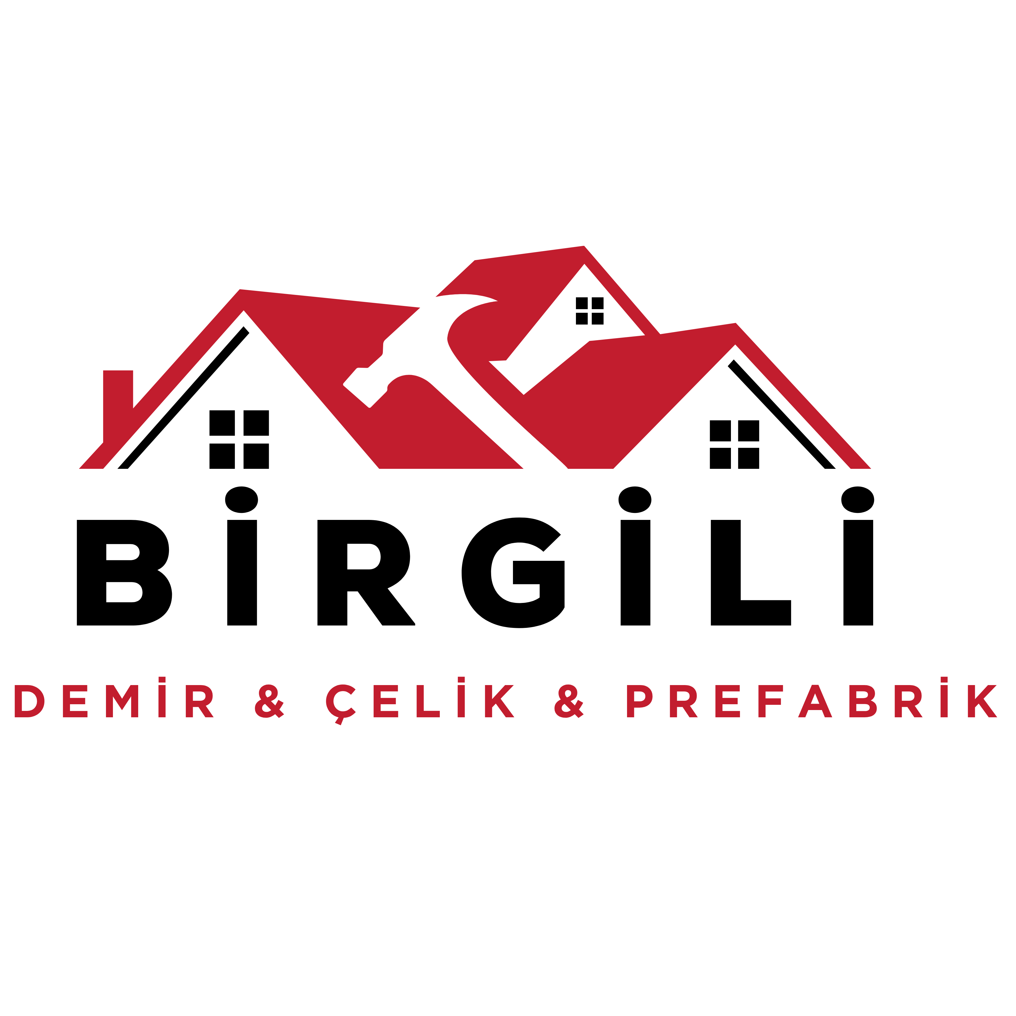 Birgili Demir Çelik Çatı